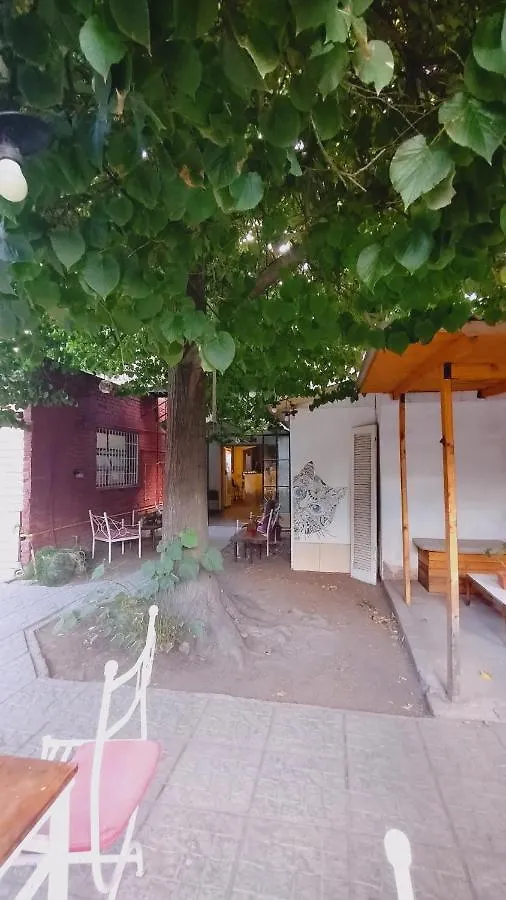 Mora Hostel Mendoza Argentinië